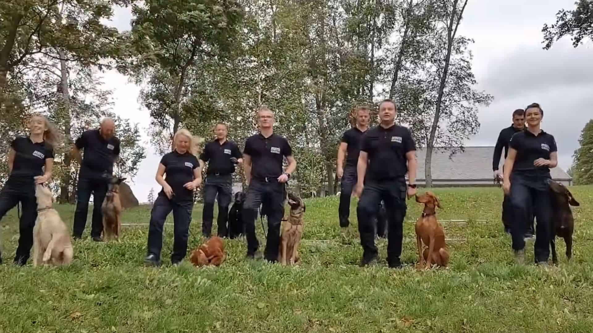 dancing K9s