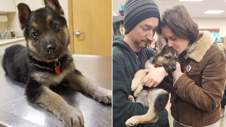 man and woman hugging and kissing dying puppy