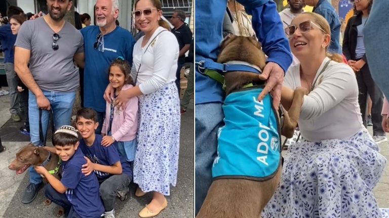 family reunited with their stolen dog