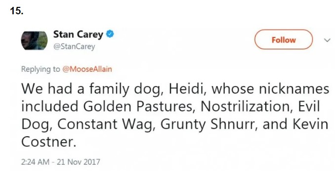 Heidi, the Evil Dog!