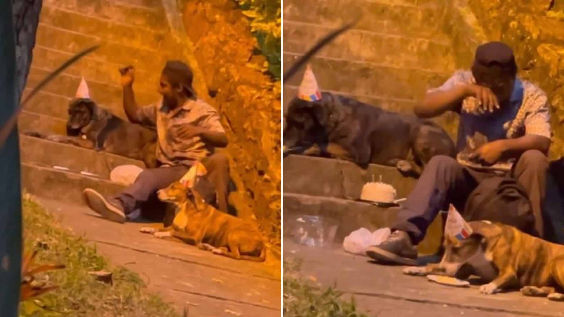 homeless man prepares a birthday party for his dogs
