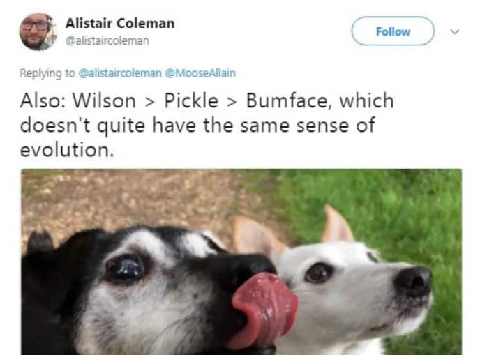I kinda like Pickle…