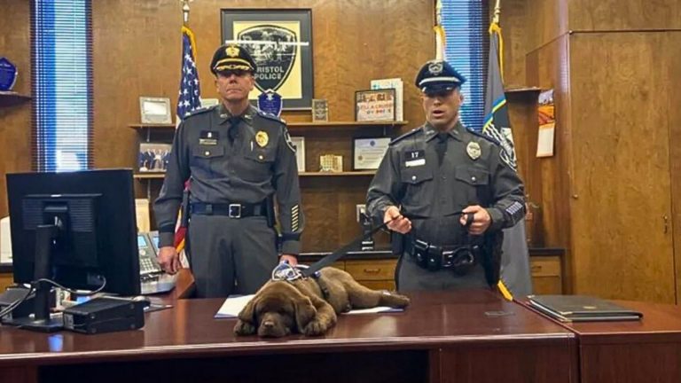K-9 dog slept through the ceremony