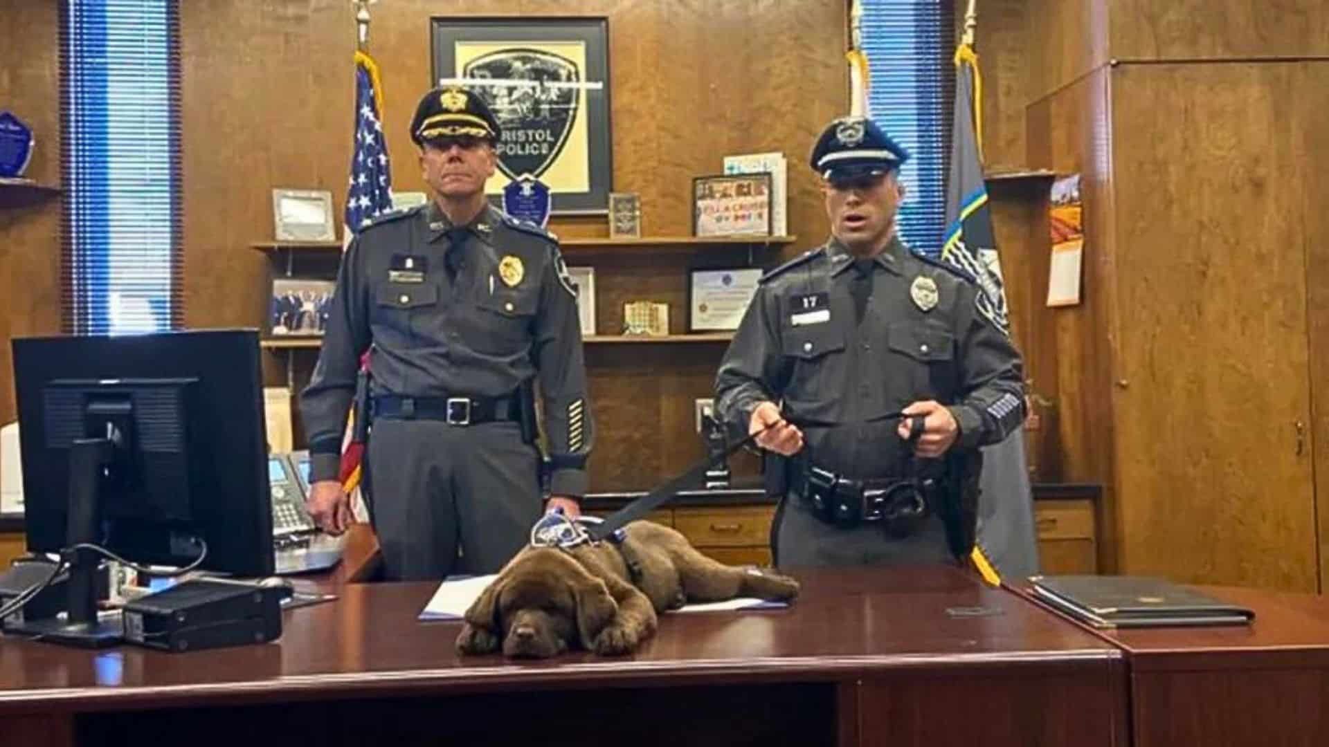 K-9 Puppy Sleeps Through His Entire Swearing-In Ceremony 