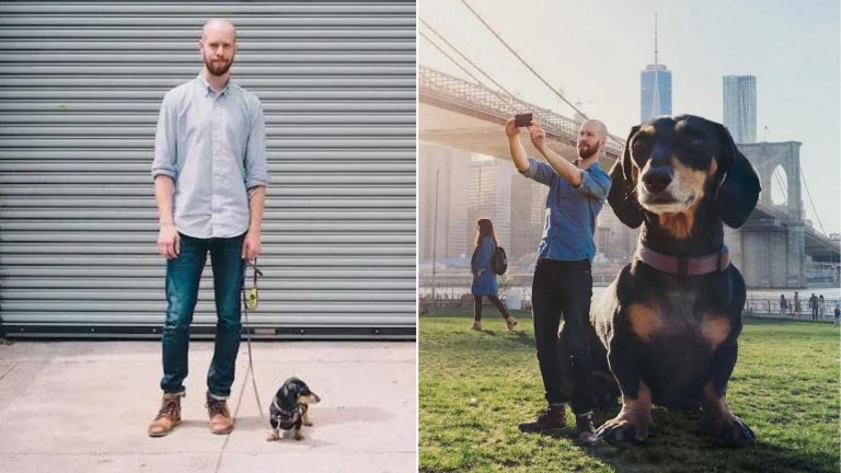man photoshops his tiny dachshund