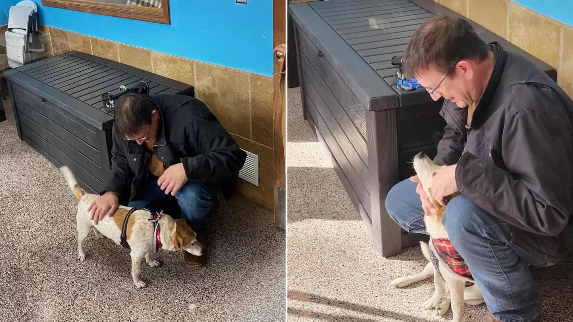 dog reunited with family