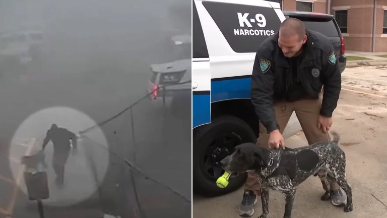 officer races yhrough tornado to rescue his K-9 partner