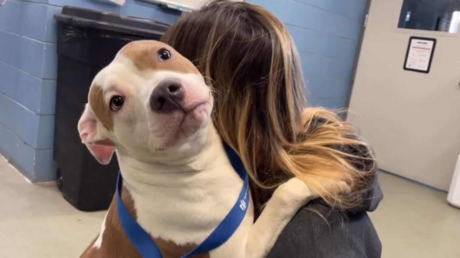 Owner Unable To Board His Dog Leaves Him Tied Up Outside The Airport