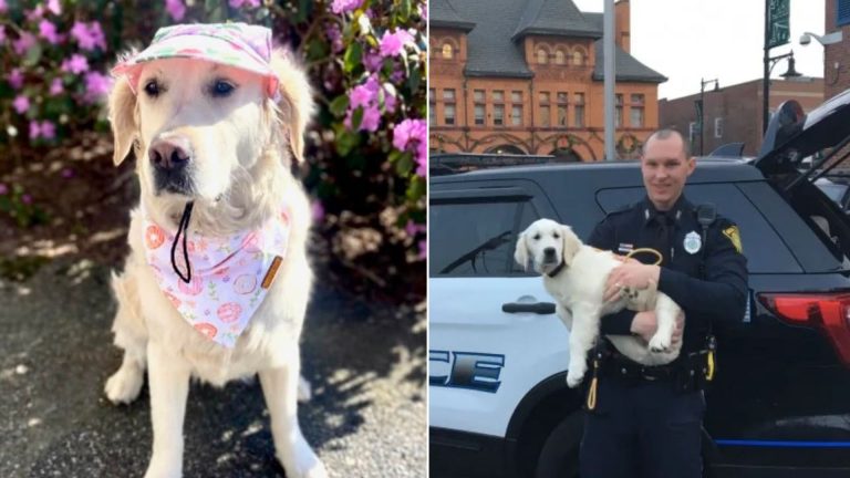 policeman and cute puppy