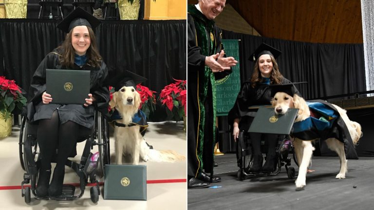 a dog at a graduation ceremony with its owner