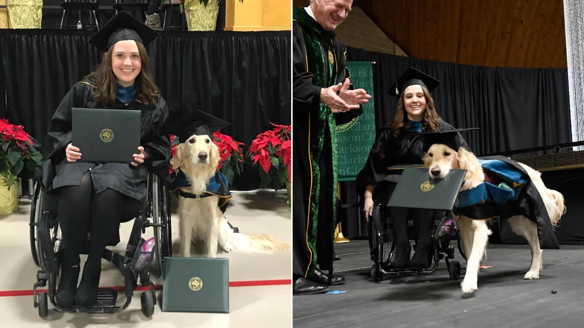 a dog at a graduation ceremony with its owner