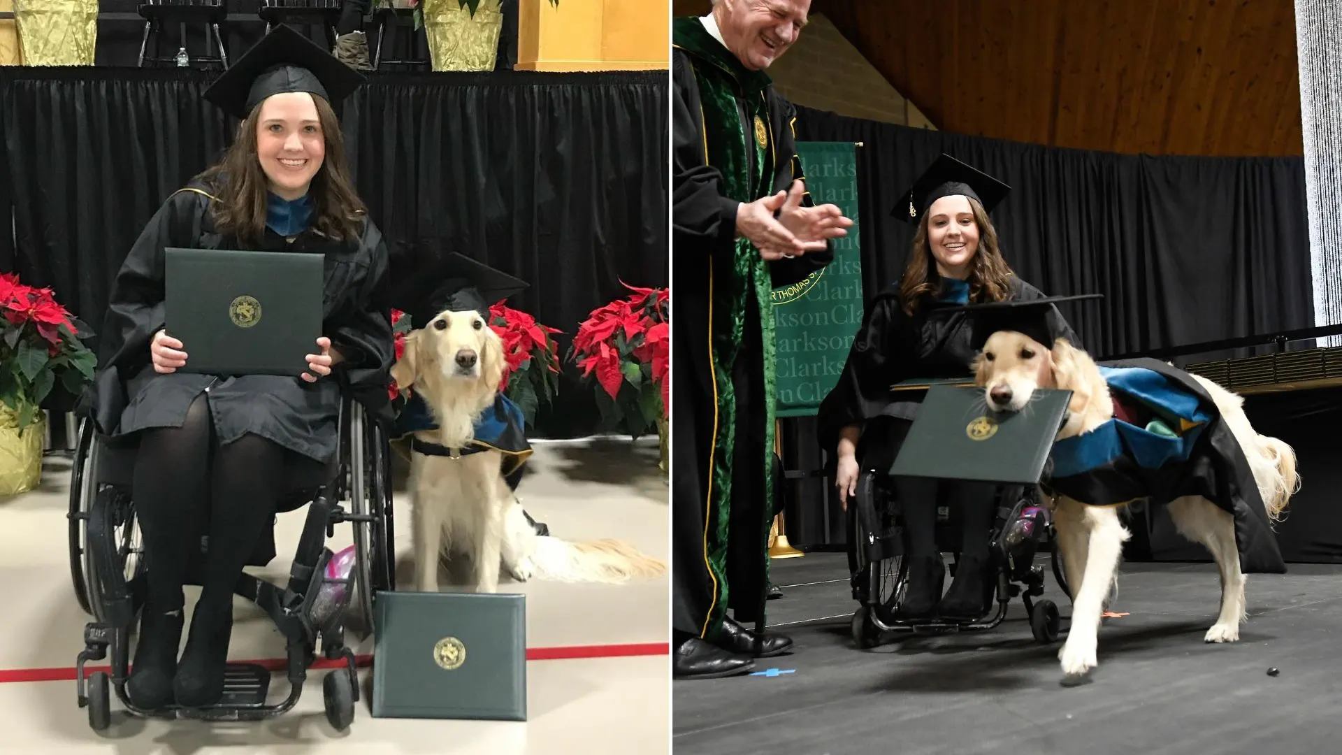 Service Golden Retriever Gets Honorary Diploma Alongside His Owner