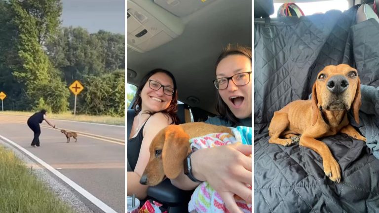 two women with dog in car