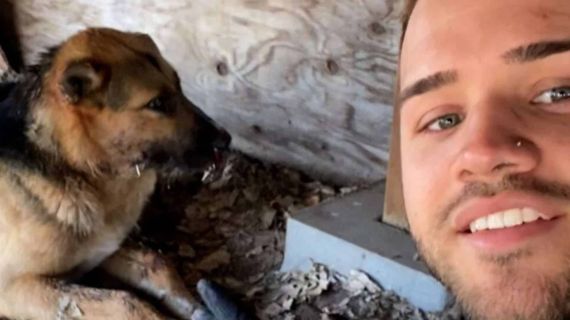saved dog with man