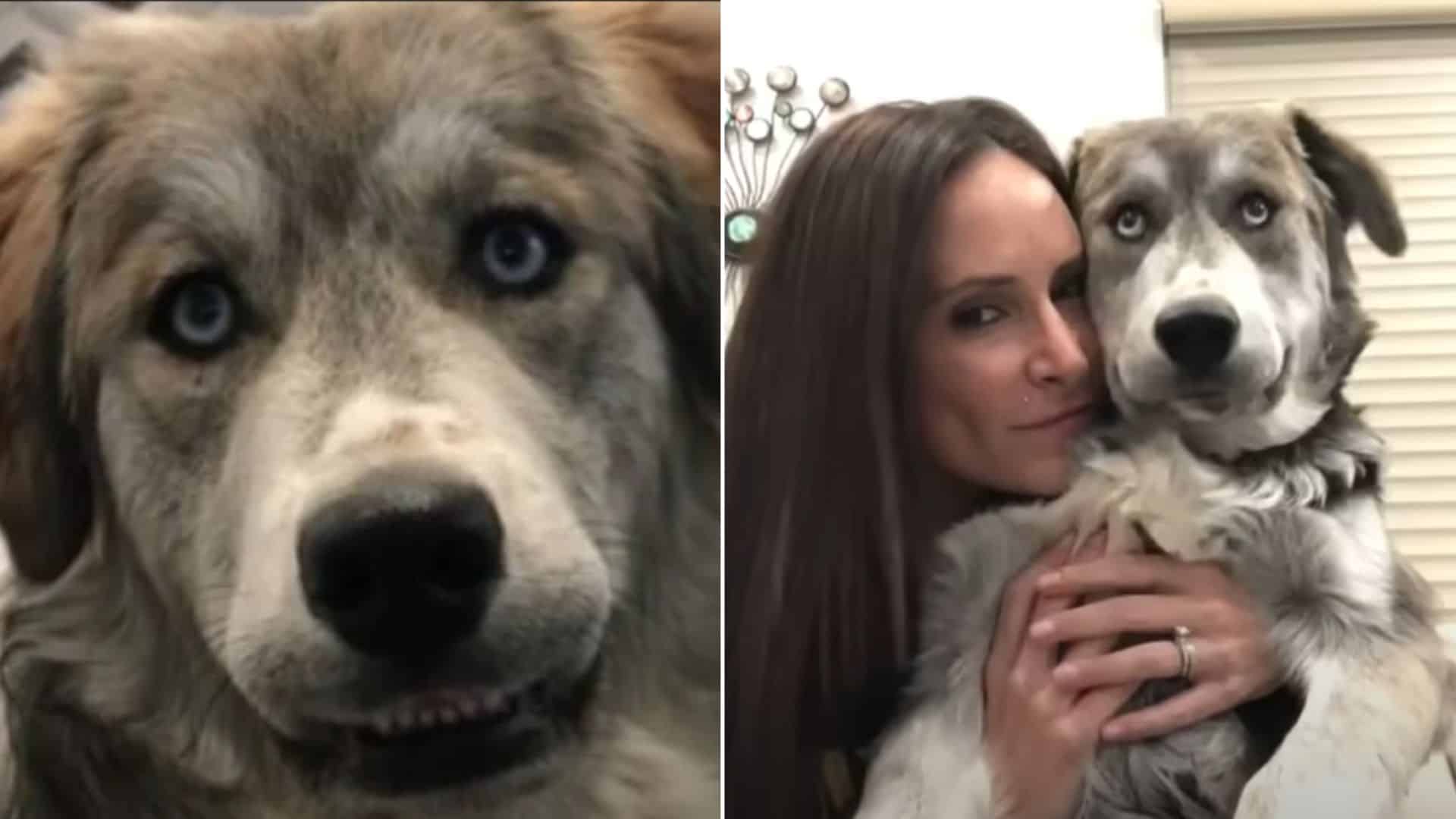 woman hugging a dog