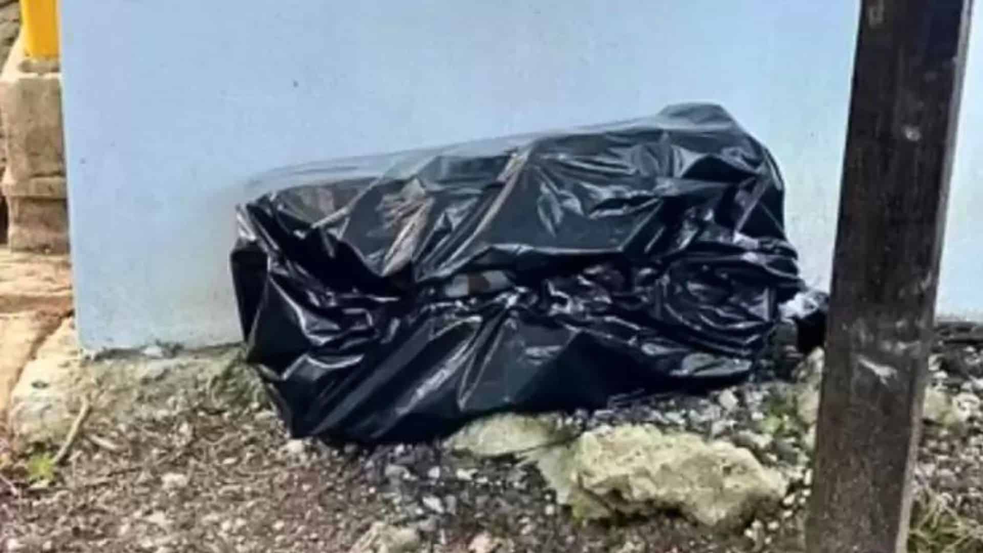 Woman Was Shocked After Discovering What Was In This Garbage Bag