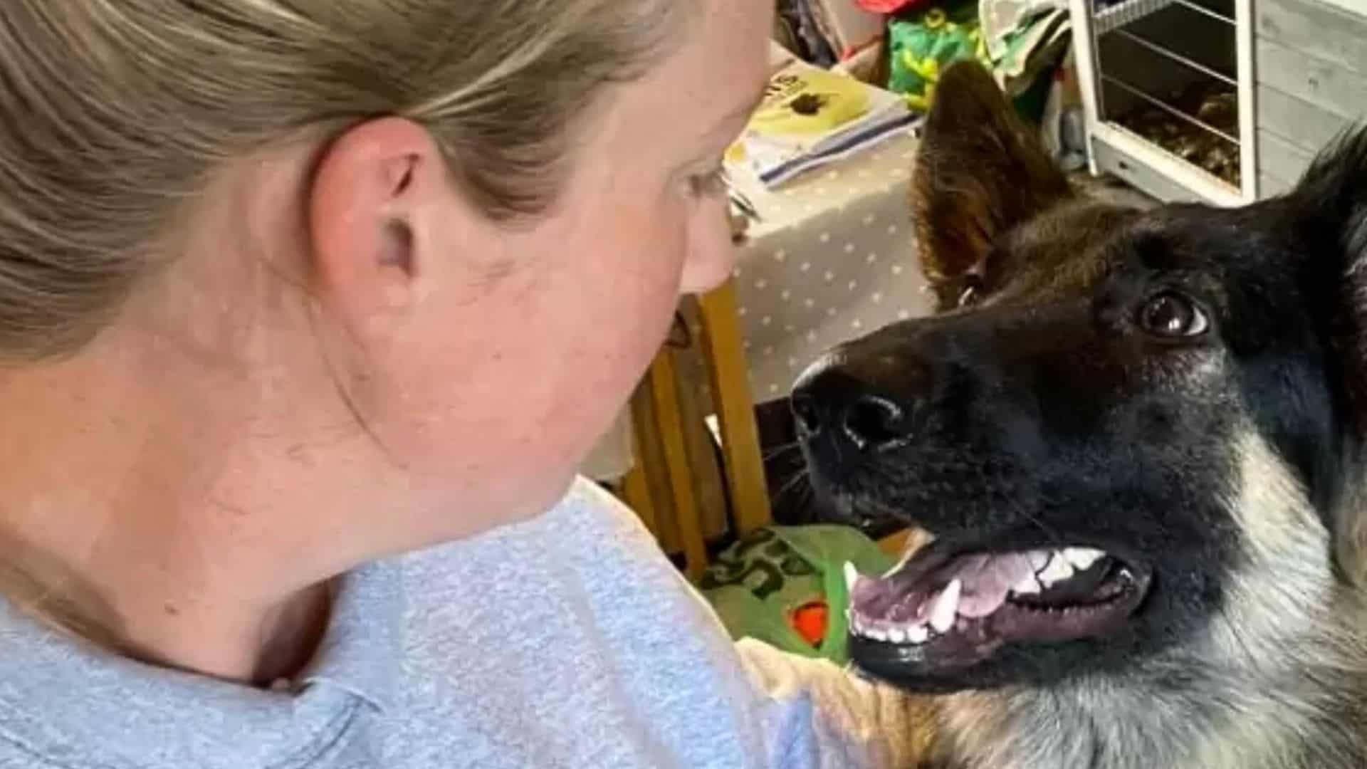 a woman was grazing a German shepherd girl