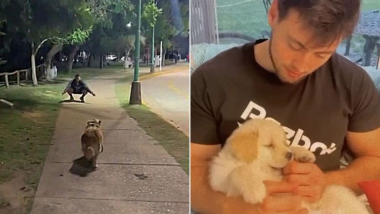 woman and her dog stumble upon her ex