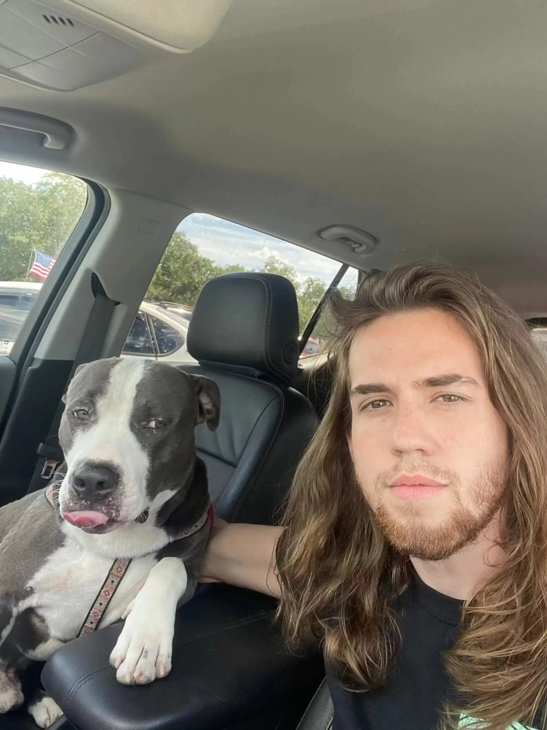 un perro con un hombre en un coche