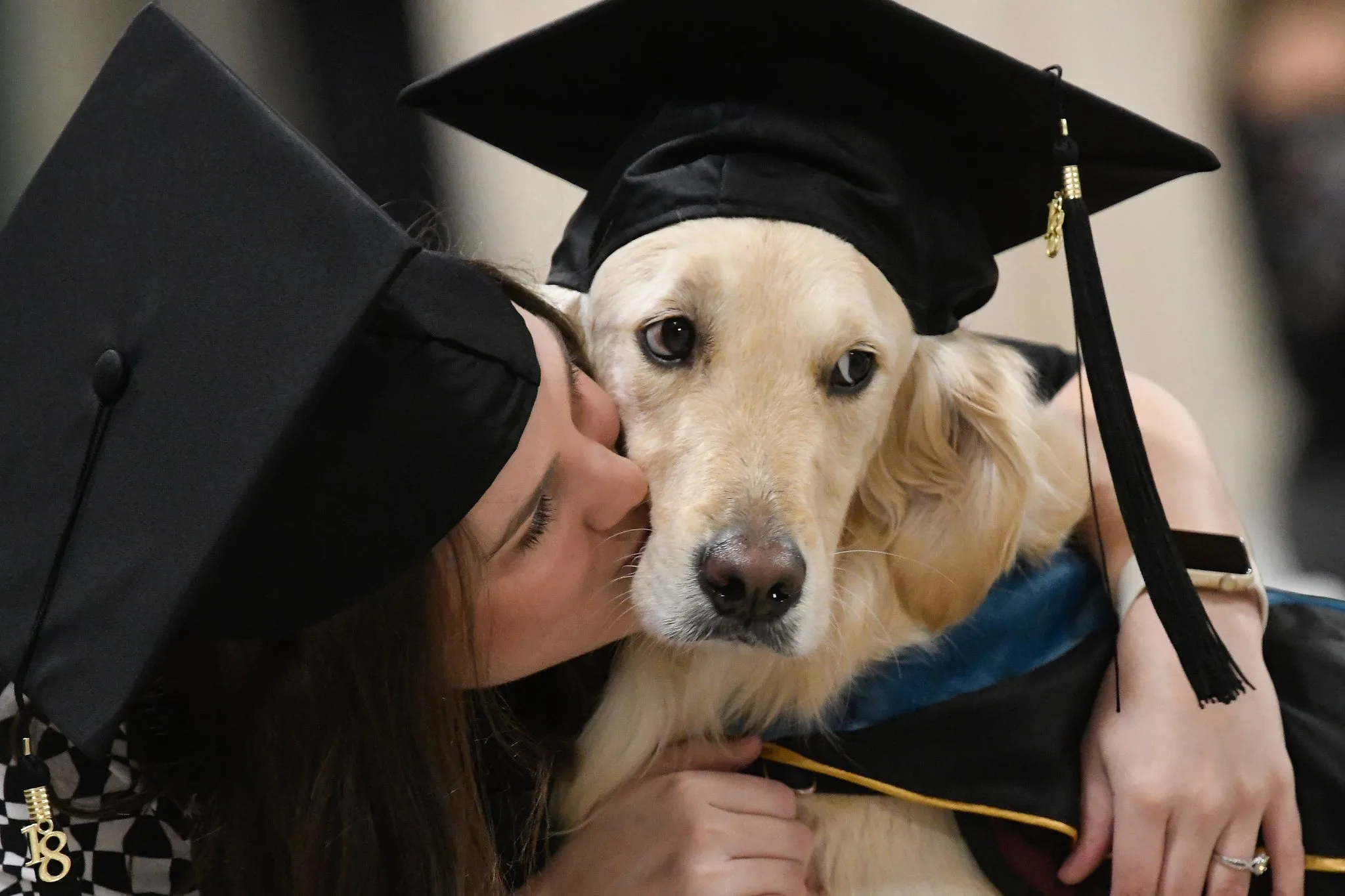 a girl kisses her dog at a graduation ceremony