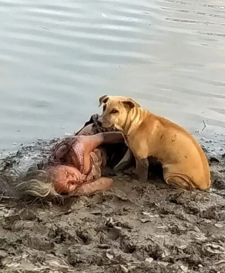 a homeless dog protects a girl lying by the river