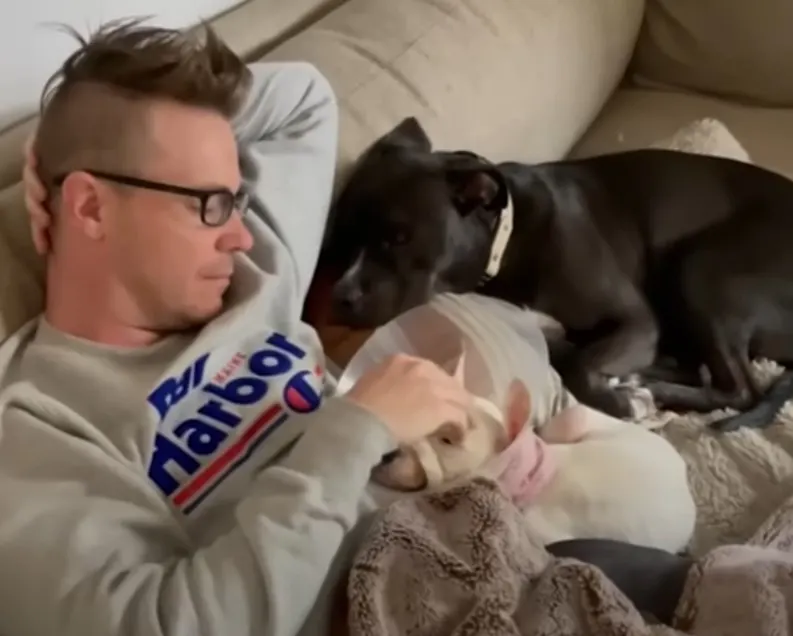 a man petting a dog on the couch