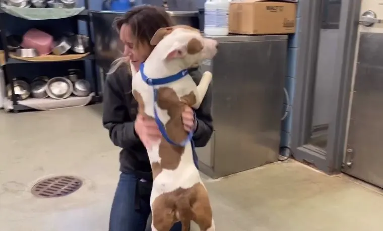 Perro abandonado abraza a una mujer en el aeropuerto.
