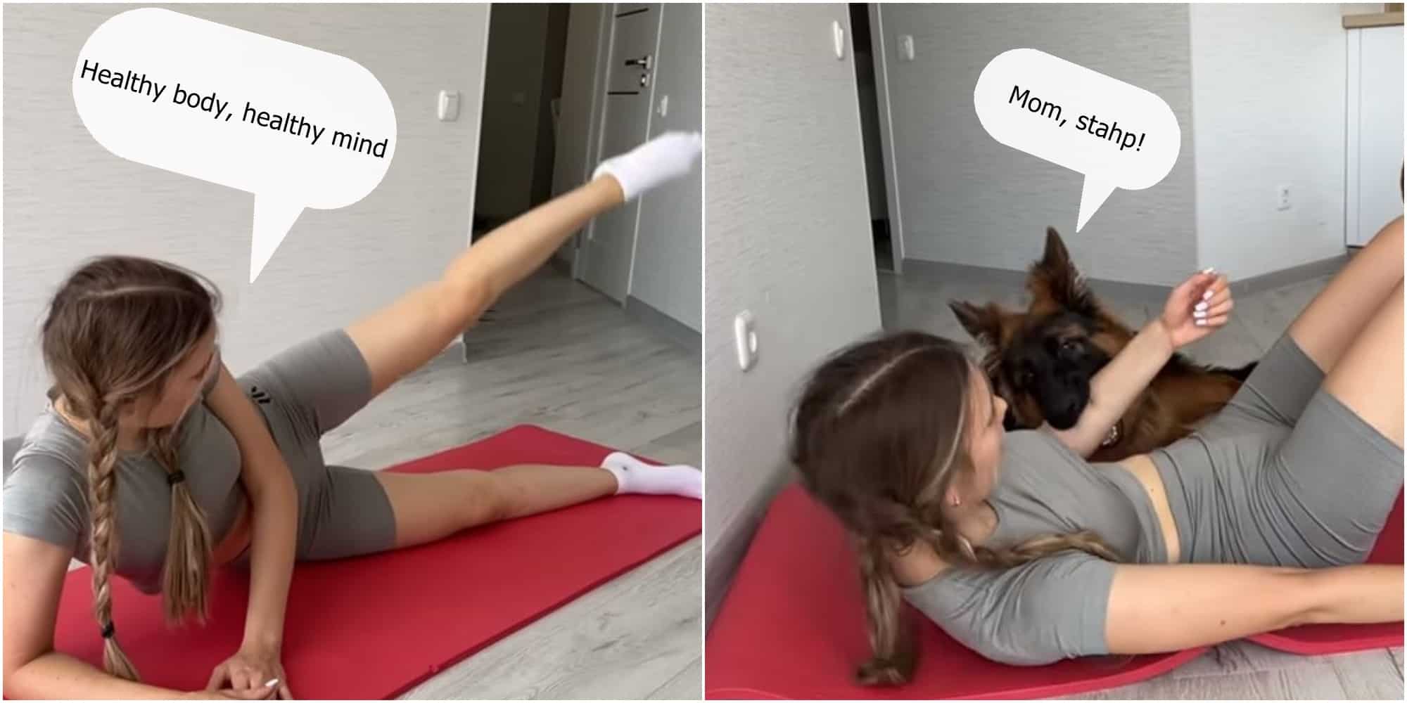 german shepehrd interrupts owner's workout