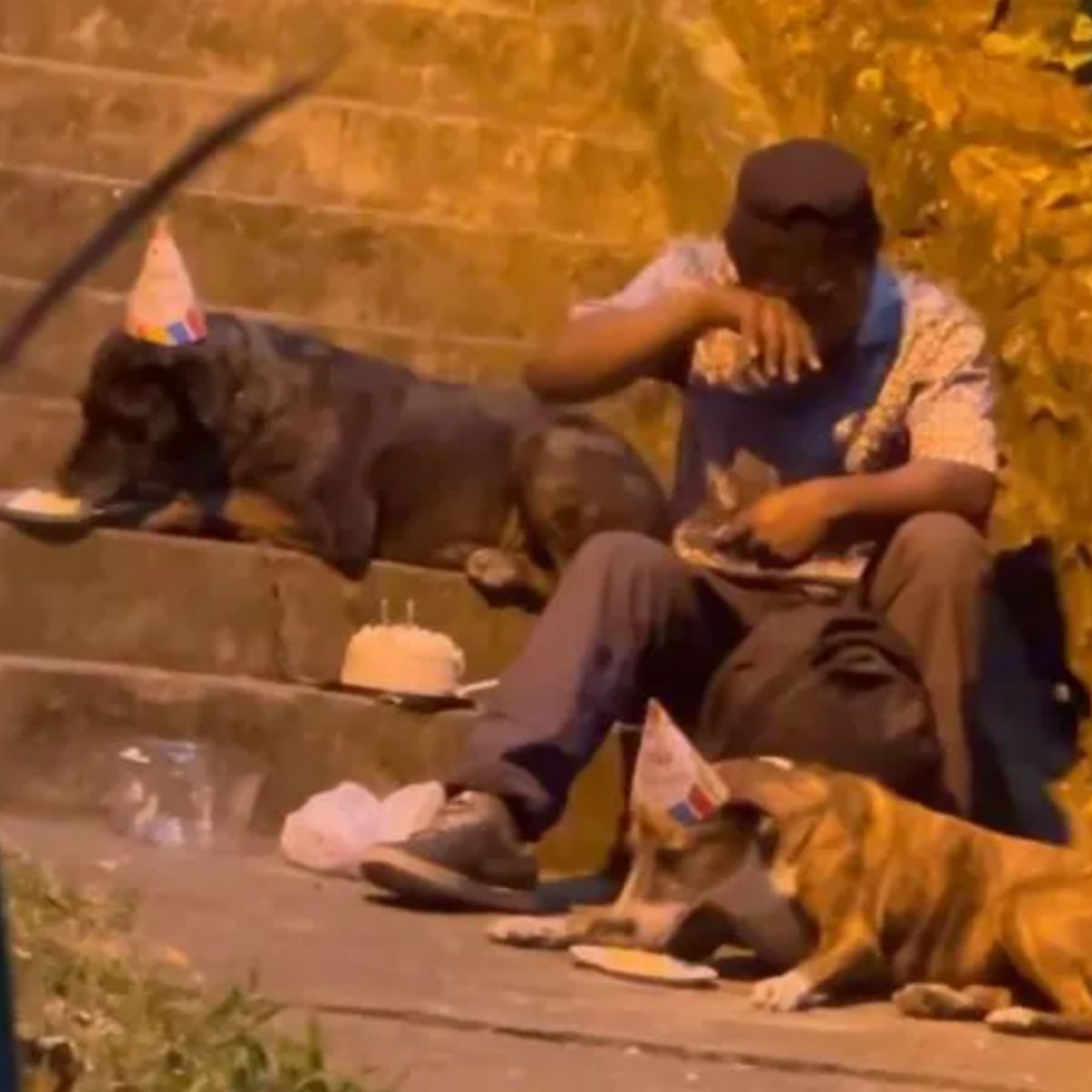 homeless man crying while two dogs are eating 