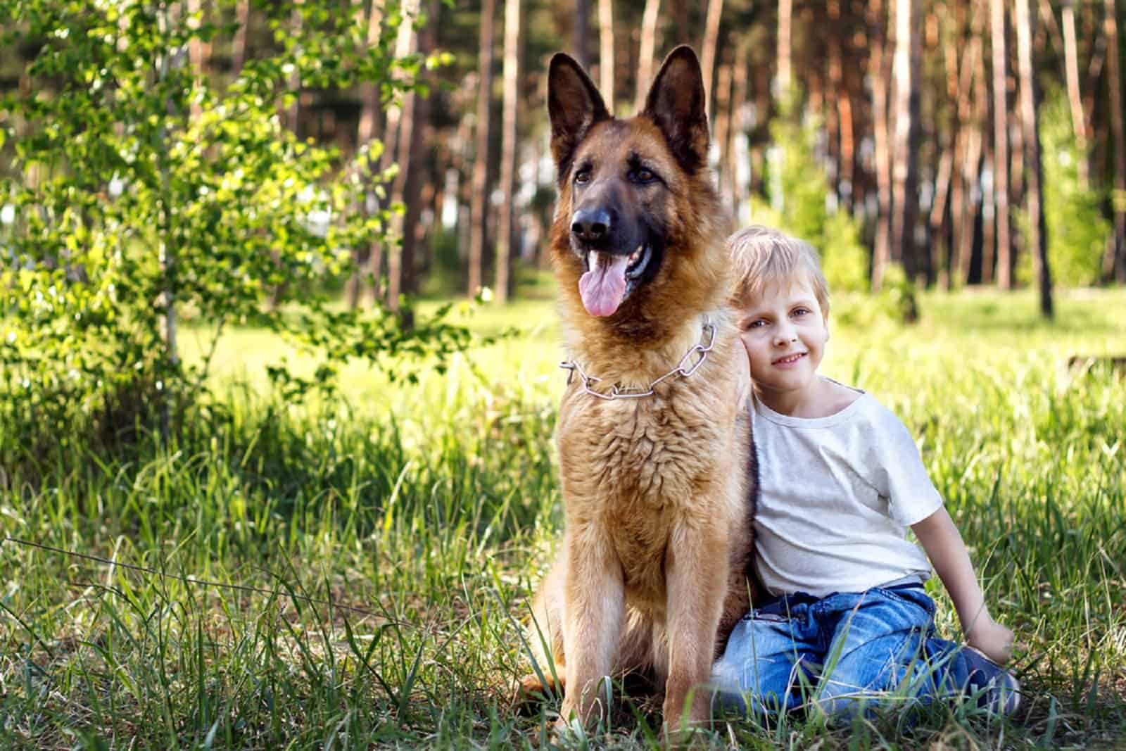 little boy leaning on his german shepherd dog in the park
