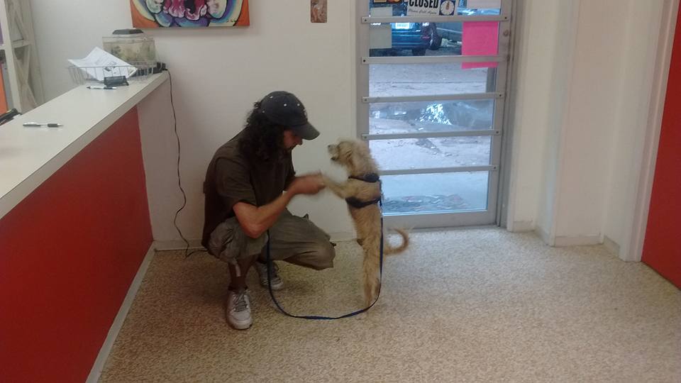 man dancing with puppy