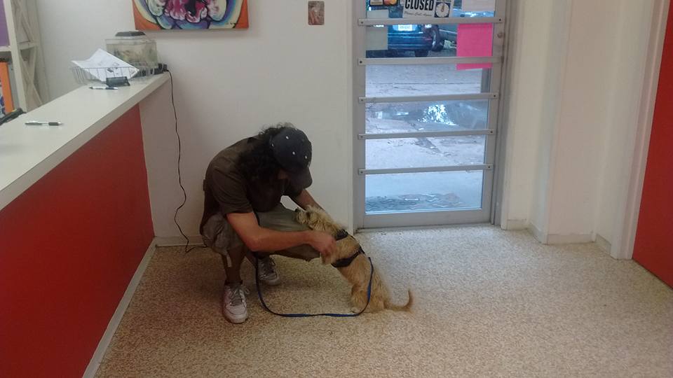 man playing with puppy
