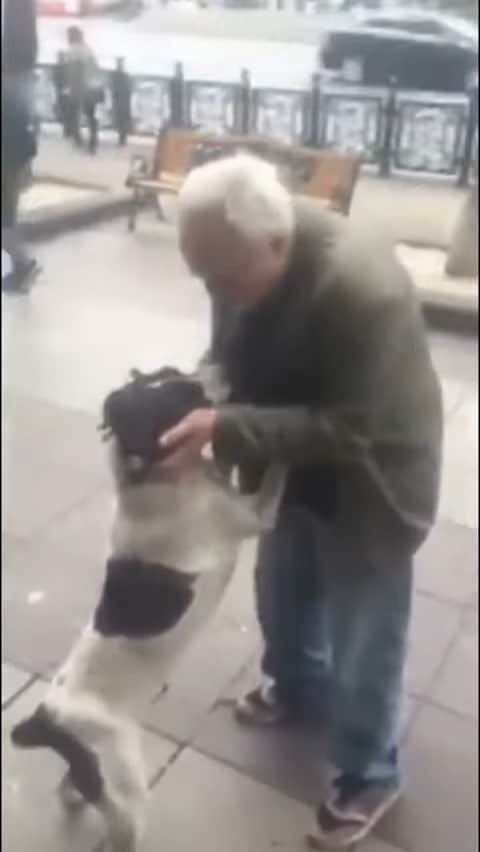 man reunited with his dog on the street