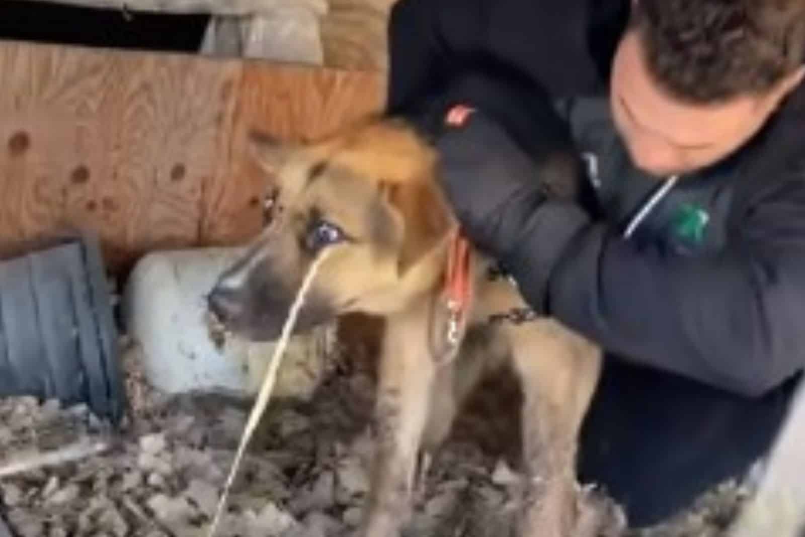 man saving the dog