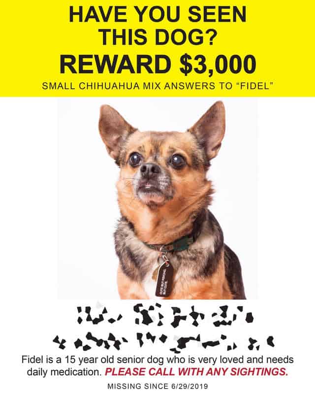 missing poster for fidel