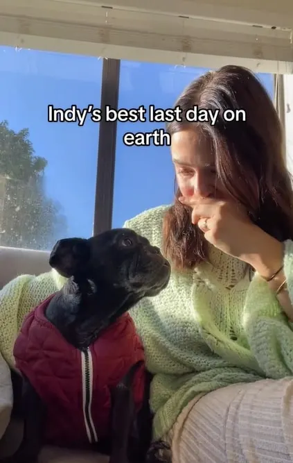 foto de Holly y su bulldog francés Indy