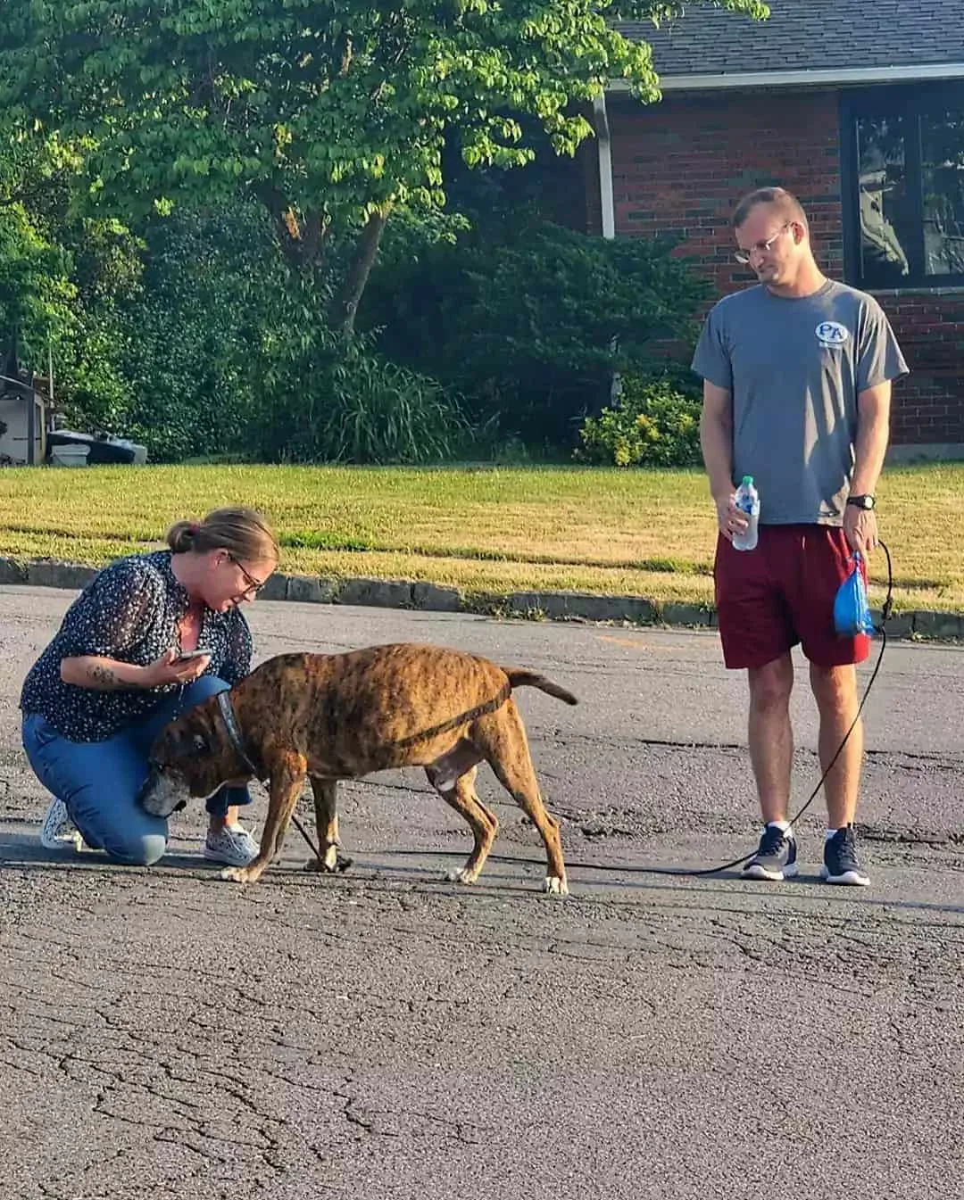 photo of a neighbor petting mellow on his walk