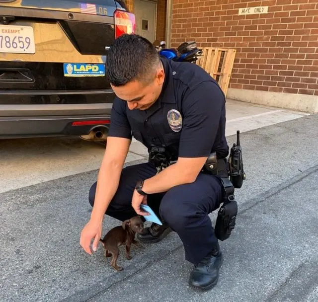 policeman with tiny dog