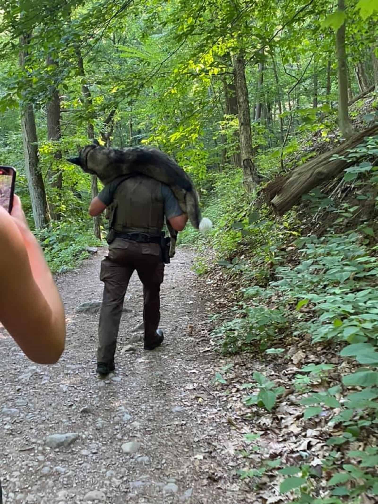 ranger carrying german shepherd on his back