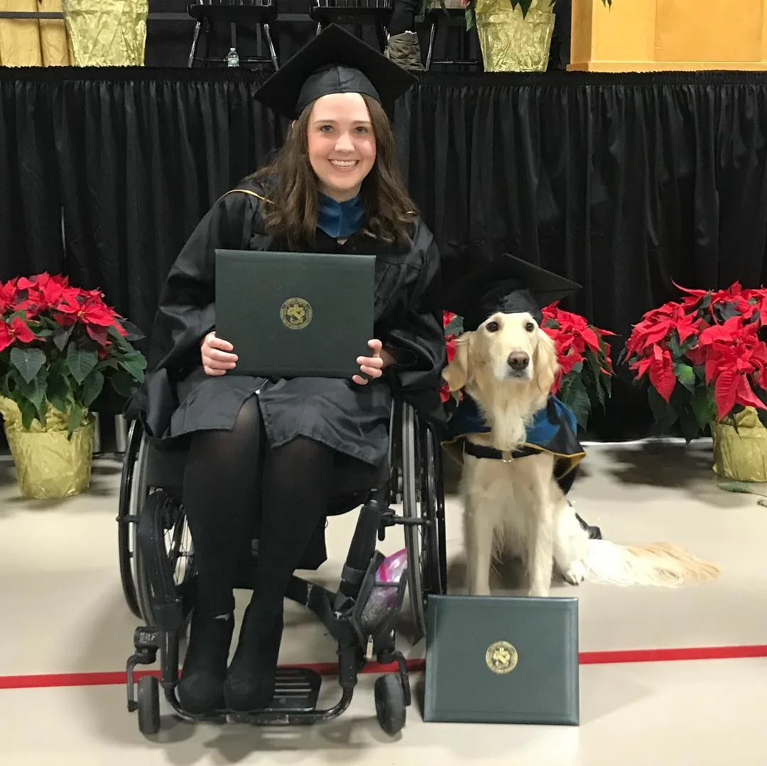 the dog stands next to the girl in the wheelchair at the graduation ceremony
