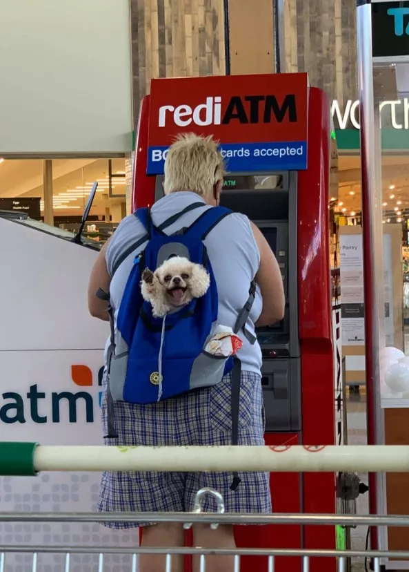 the woman at the ATM, the dog is peeking out of her backpack