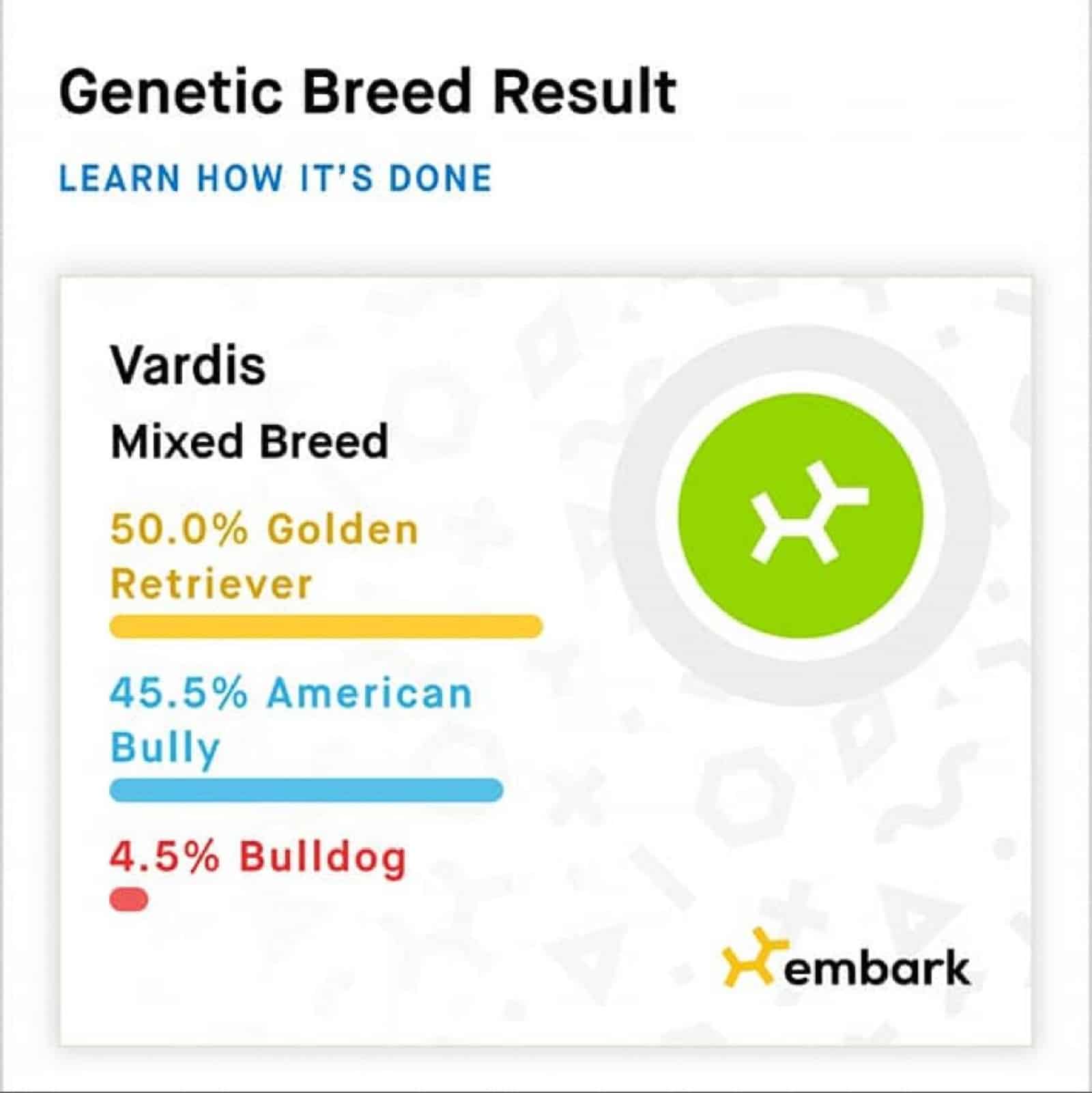 vardis genetic result