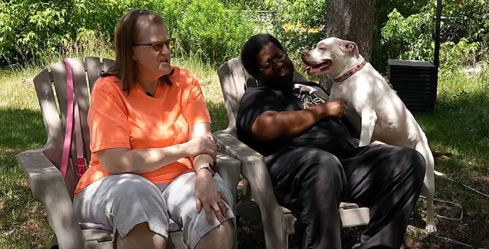 white pittie playing with man and woman sitting in the garden