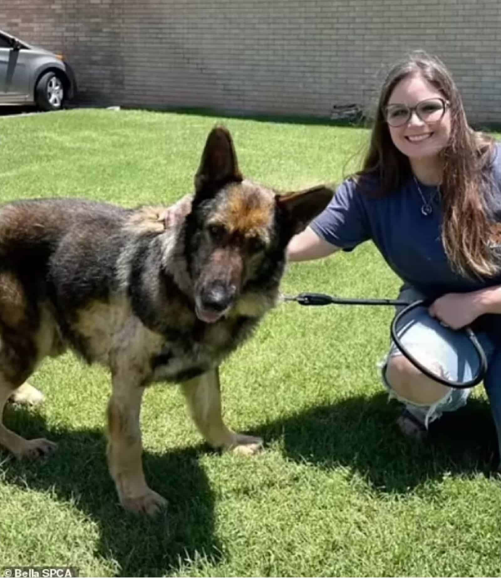 woman and german shepherd dog in the backyard