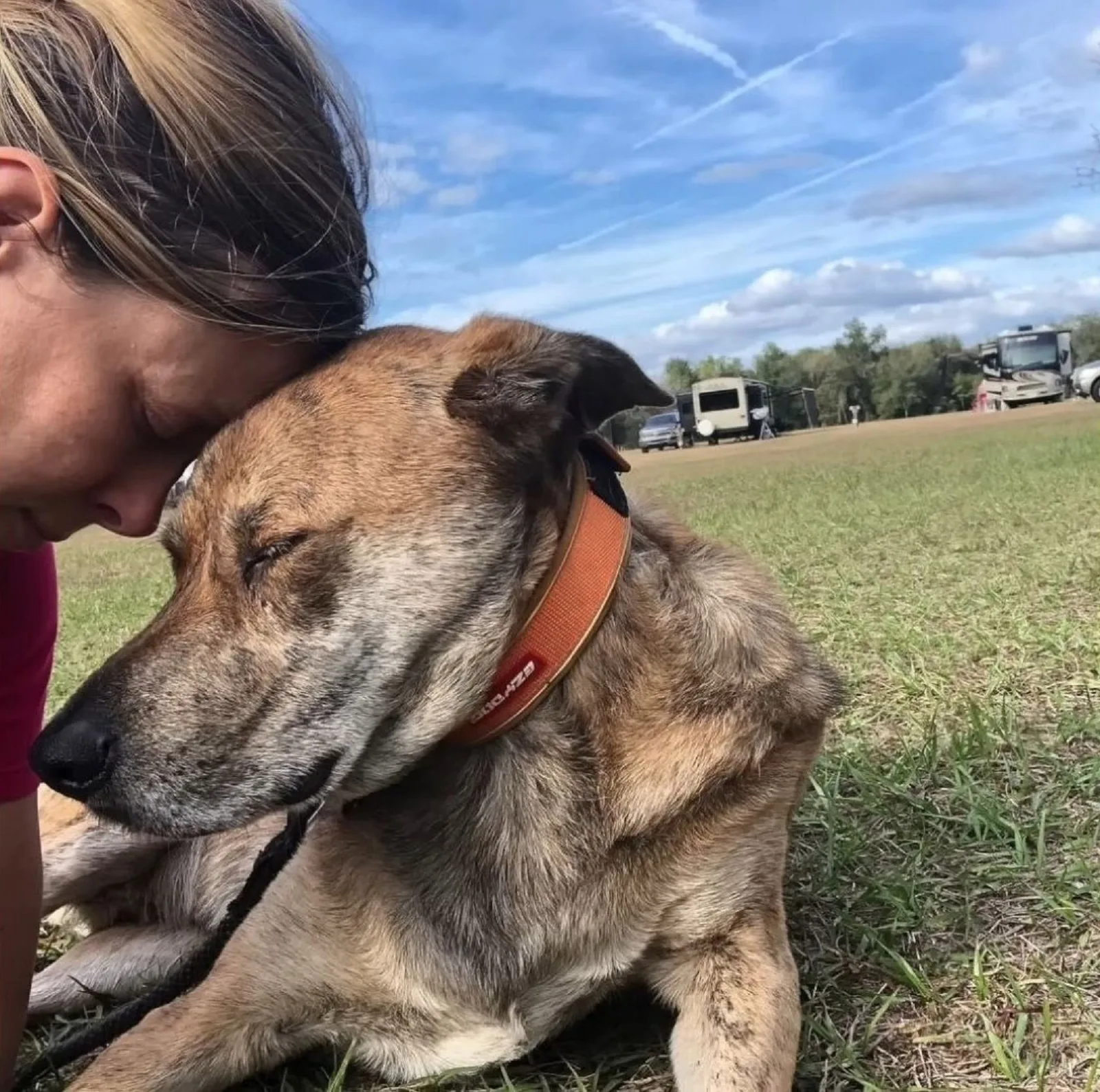 woman cuddling with a dog on the grass