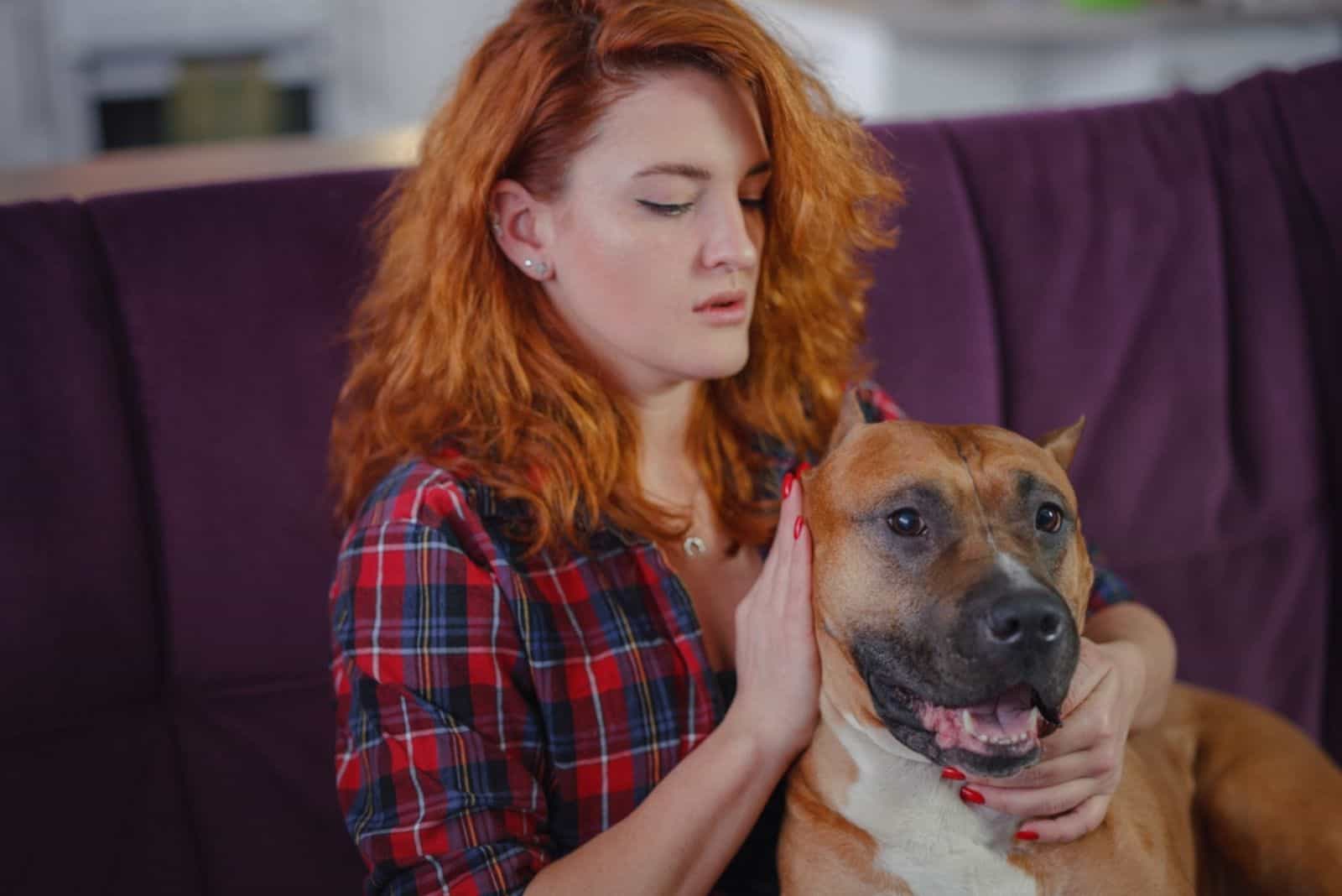 woman petting her american staffordshire terrier on couch