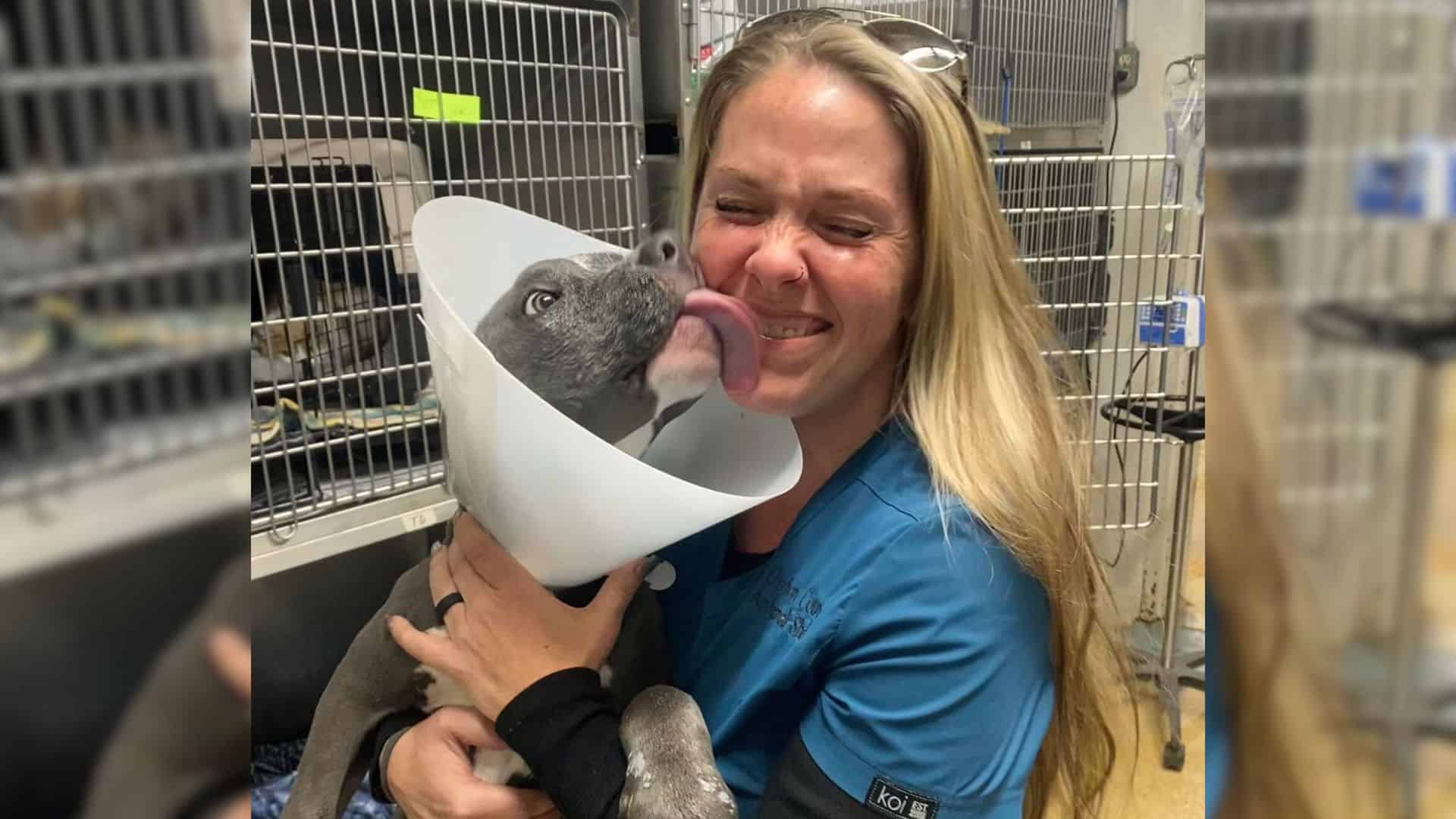 owner holding a dog in her arms