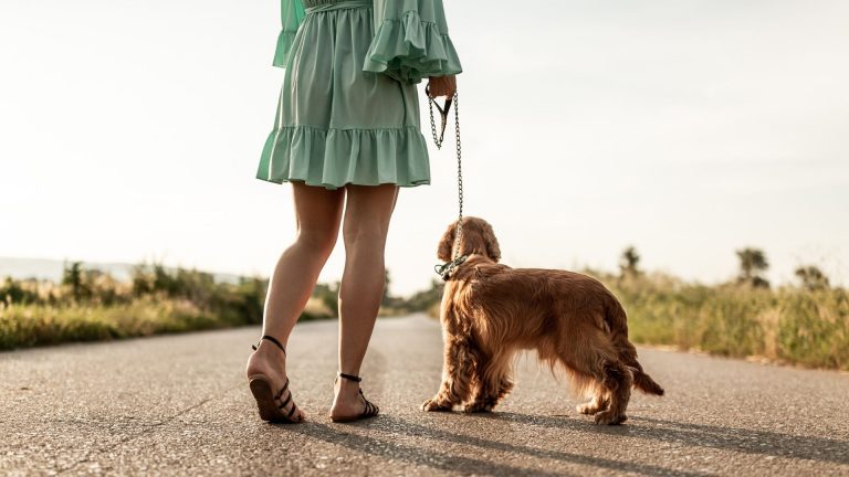 woman and a dog taking a walk
