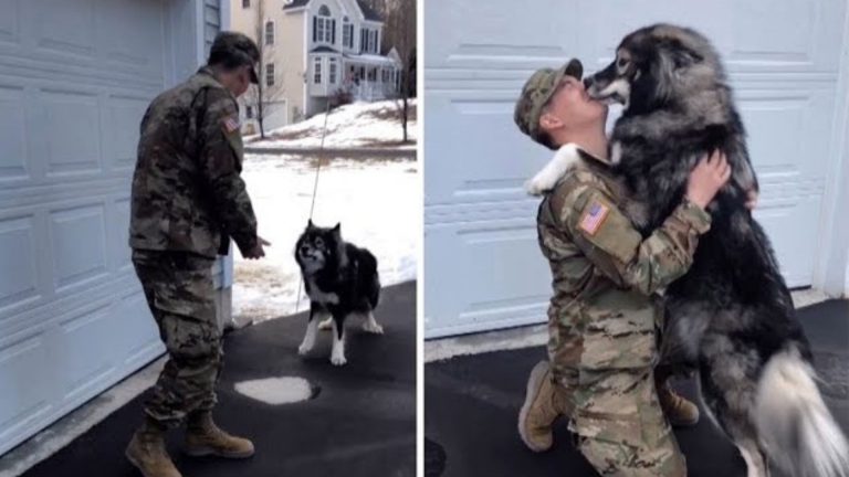 soldier and dog hugging each other