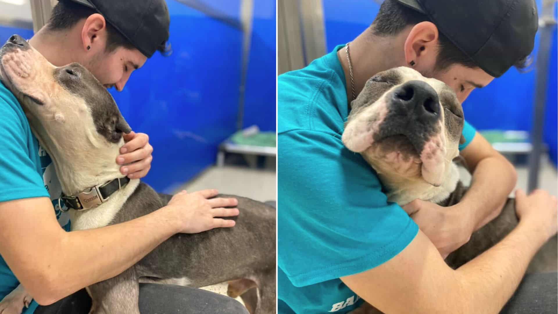 dog and owner hugging